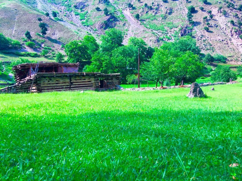 Chitral Inn Resort エクステリア 写真